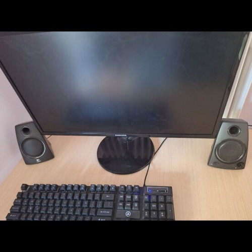Samsung 21-inch 60Hz monitor with Logitech speakers, keyboard and mouse