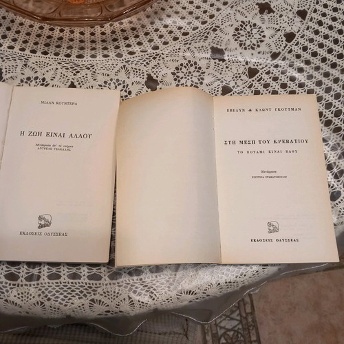 Pack of two books like new, Life Is Elsewhere and The River Is Deep in the Middle of the Bed