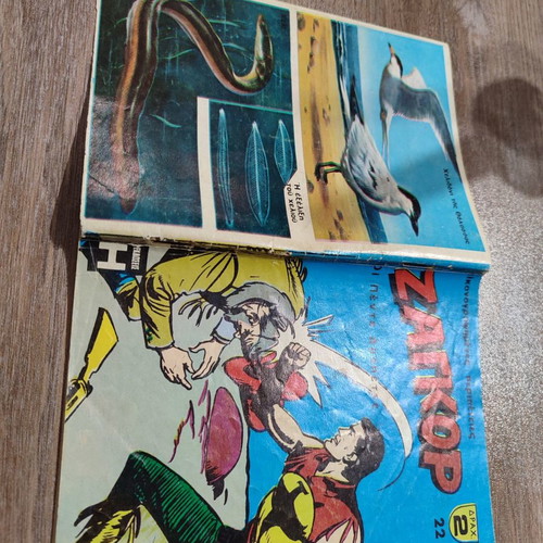 Zagor 22 used