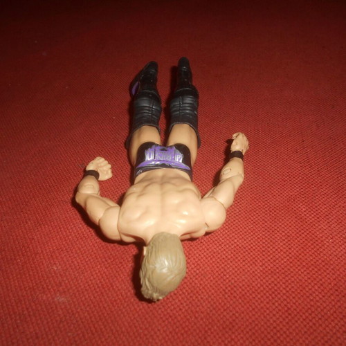 WWE Wrestling Chris Jericho 2010 Mattel Action Figure used