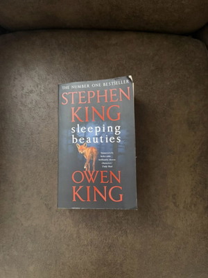 Stephen King Sleeping Beauties book