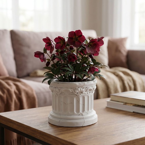 Planter in Ionic style new