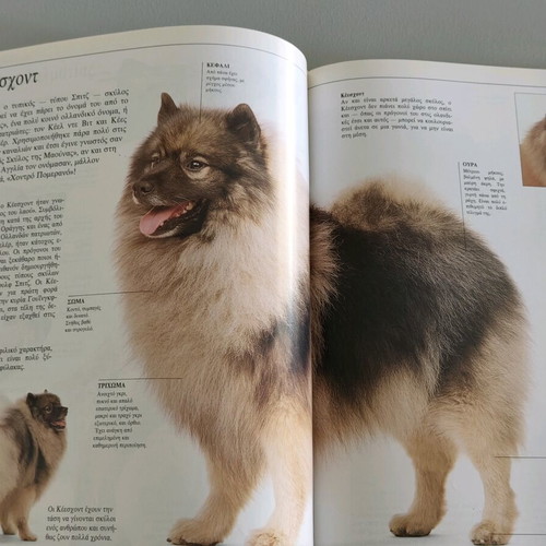 Book The Perfect Book of the Dog David Taylor like new