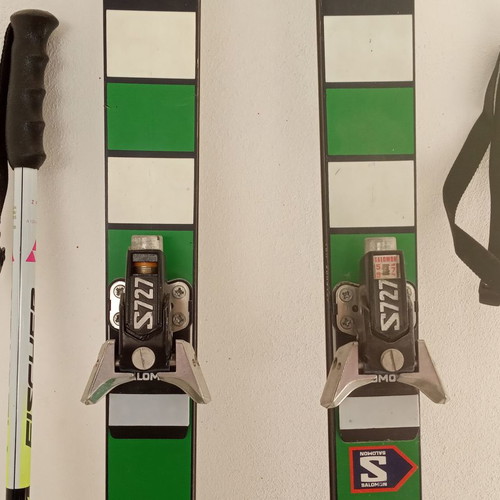 Freyrie ski bindings used with poles and straps