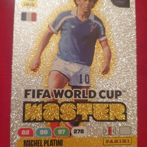 Panini FIFA Football Legends Card Collection new, glossy