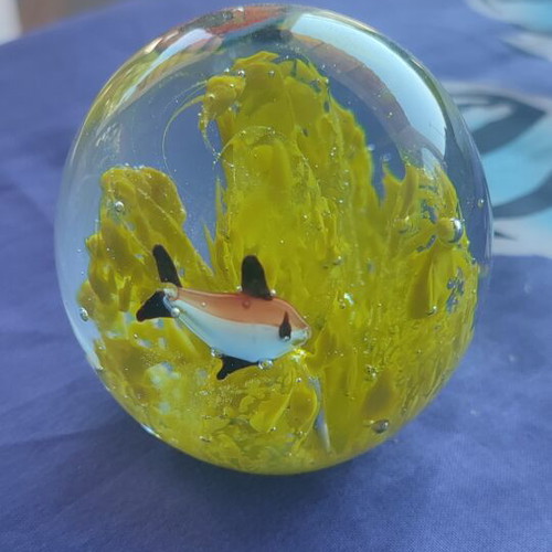 Crystal ball with yellow seaweed and orange black fish new