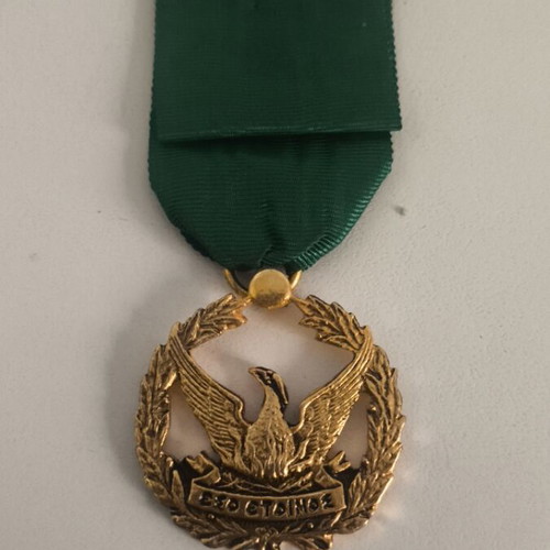 Scout Friends Medal like new