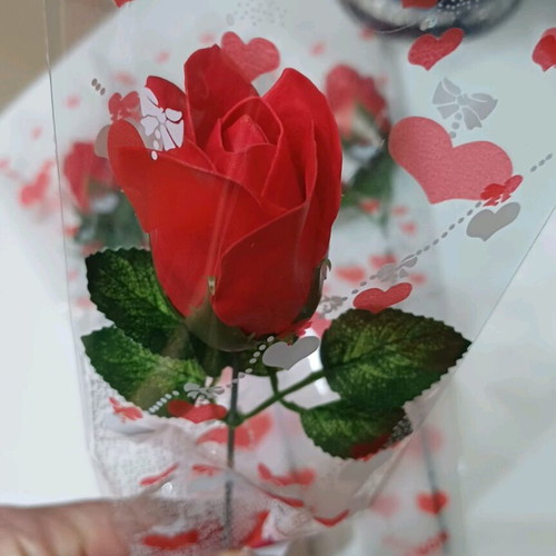 Eternal Red Rose New