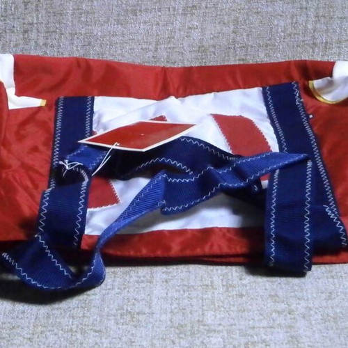 Tommy Hilfiger Hand Bag new, white and red