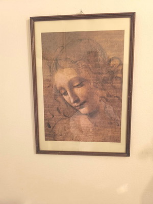La Scapigliata framed art print like new