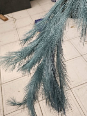 Feather-like flowers like new