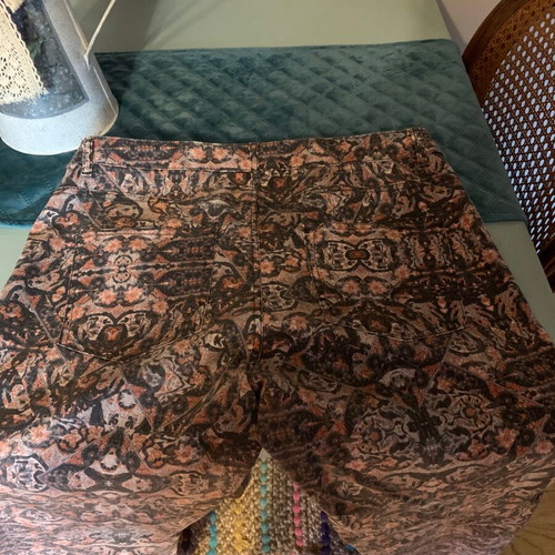 Women's pants new with paisley pattern