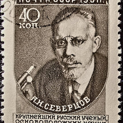 Soviet Union 1951 stamp