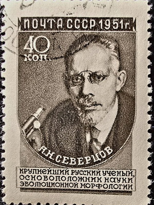 Soviet Union 1951 stamp