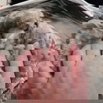  Κουβερτοπαπλωμα υπερδιπλο 220x240