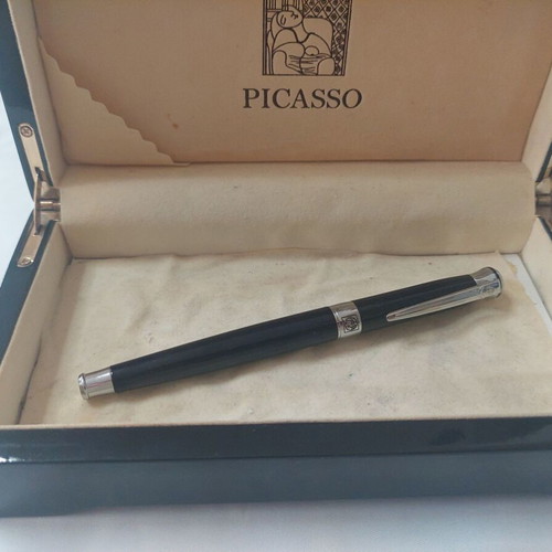 Picasso pen used with case