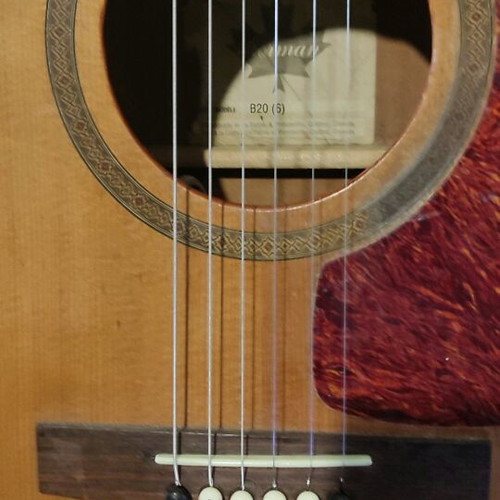 Norman B20 Electro-Acoustic Guitar like new