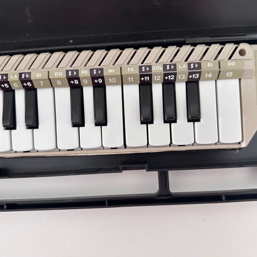 Bontempi Classic Melodica used with original carrying case