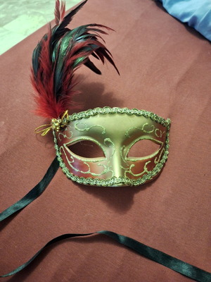 Carnival mask new, hard material and fits well