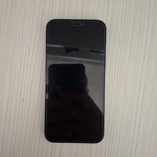 Apple iPhone 12 Mini 64GB, blue, battery needs replacement