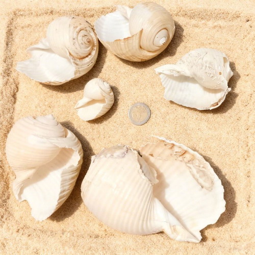 Materials for crafts set of 6 pieces new