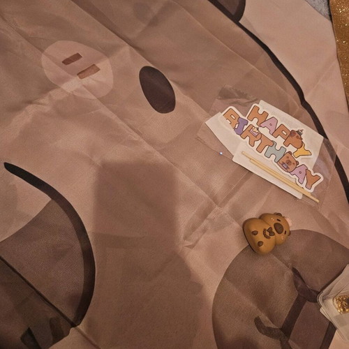 Capybara birthday set like new, 5 pieces for 7 years old