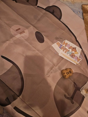 Capybara birthday set like new, 5 pieces for 7 years old