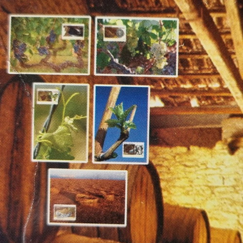 Maximum cards 05/2005 new, complete set of 5 vine wine cards