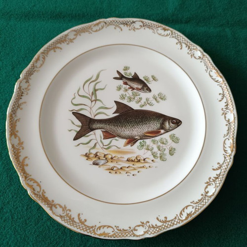 Limoges vintage plates with freshwater fish decoration, like new, set of 5
