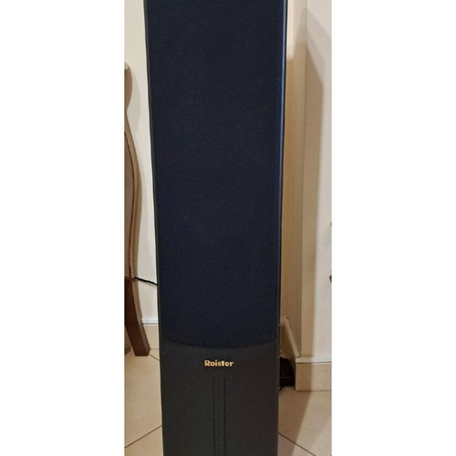 Roister floor-standing speakers like new 140W RMS