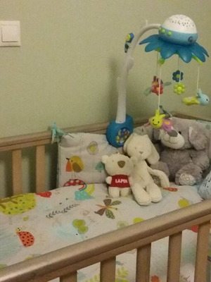 CasaBaby preteen cot bed with Media Strom mattress like new