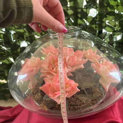 Decorative glass vase terrarium with pink flowers like new