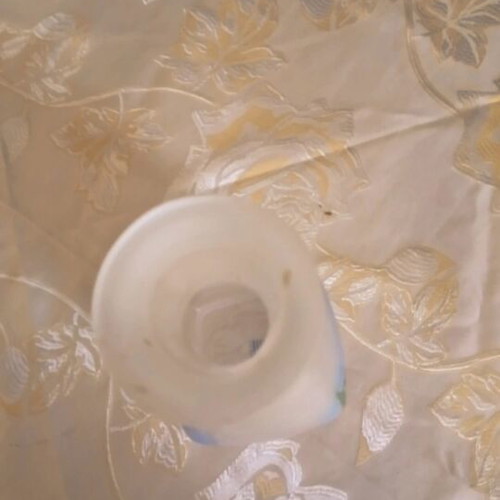 Carafe with Boch like new