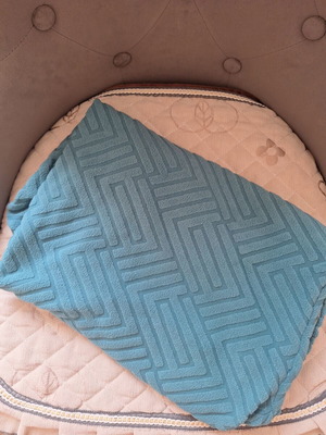 Decorative Elastic Chair Cover petrol like new with embossed pattern
