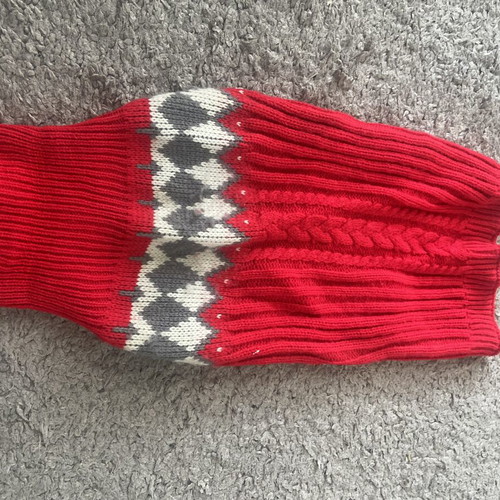 Clothing set for small dogs new, warm for autumn and winter
