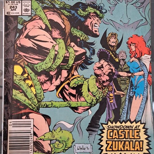 Conan the Barbarian #243 Marvel Comics used, English