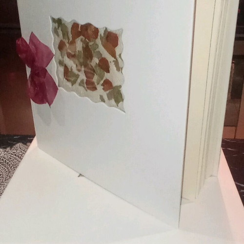 Photo album luxury new with box, 50 sheets