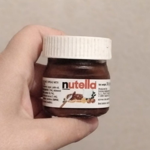 Mini Nutella decorative collectible new