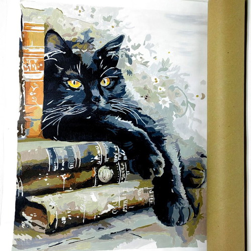 Paint by Number Canvas Picture Acrylic Cat Painting 50x40cm new