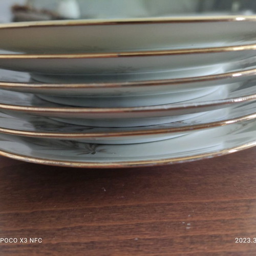 Schumaan German porcelain plates new, set of 6 pieces