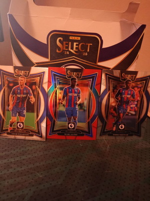 Crystal Palace trading cards new