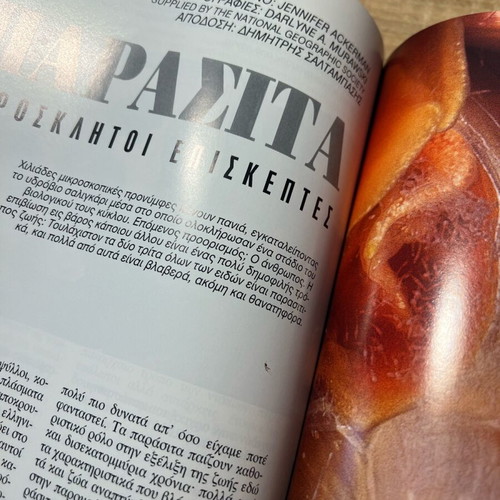 Γαιόγραμμα Experiment Κομήτες Μεταχειρισμένο, Μάιος - Ιούνιος 1998