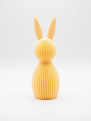 3D Printed Decorative Bunny New, Modern Design