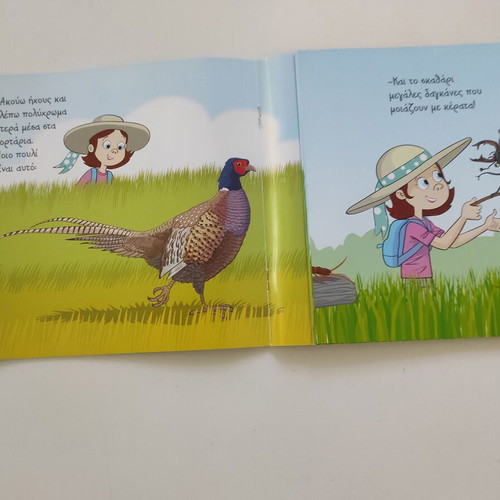 The Meadow children's book like new