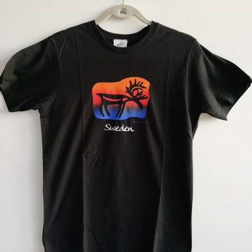 Men's black T-shirt with Sweden print like new, size medium