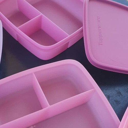Tupperware children's divided lunch box, assorted colors