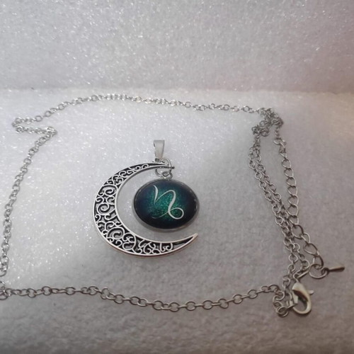 Capricorn Zodiac Crescent Moon Pendant Necklace like new