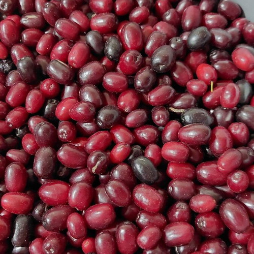 Cornelian cherries fresh from Mount Voras, superfood for liqueur making