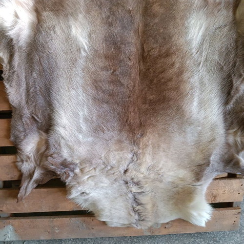 Reindeer Skin New With Dense Hair 130x75cm
