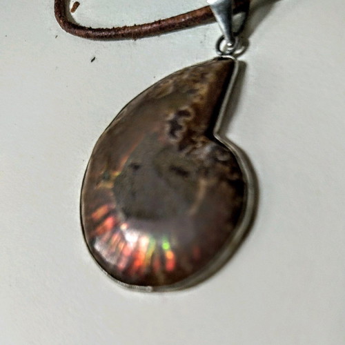 Ammonite pendant new with metal frame and leather cord